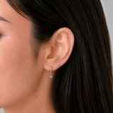 Iris Guard Hoops
